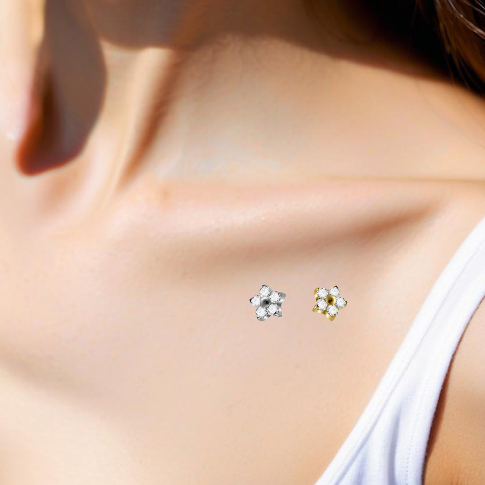Ancre cutanée en titane G23, f - Dermal Anchor Top avis et prix